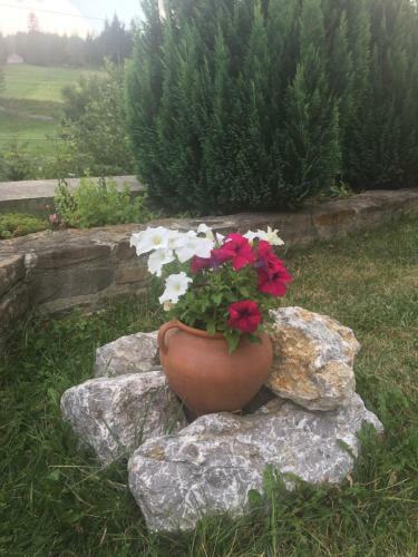 Hostal Pension Valentina