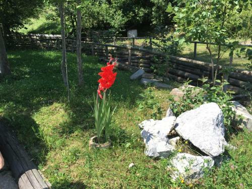 Hostal Pension Valentina