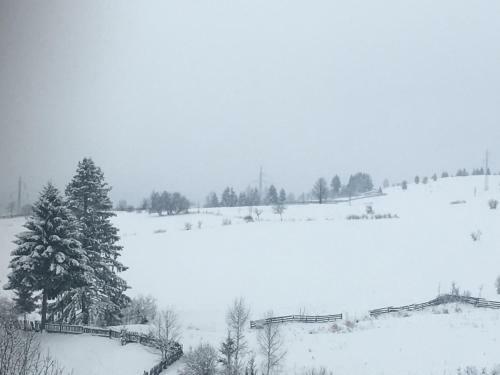 Hostal Pension Valentina