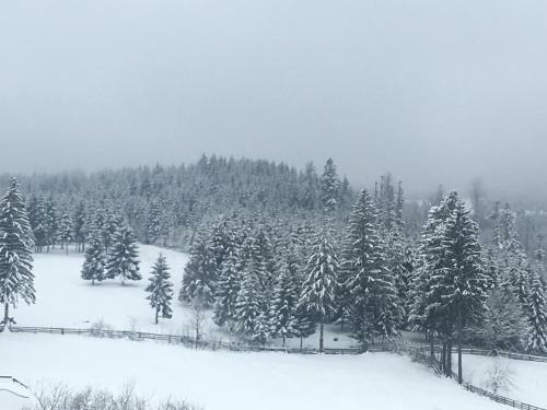 Hostal Pension Valentina