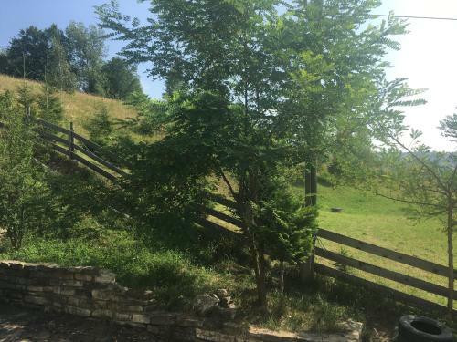 Hostal Pension Valentina