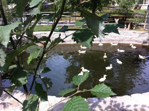 Hostal Pension Valentina