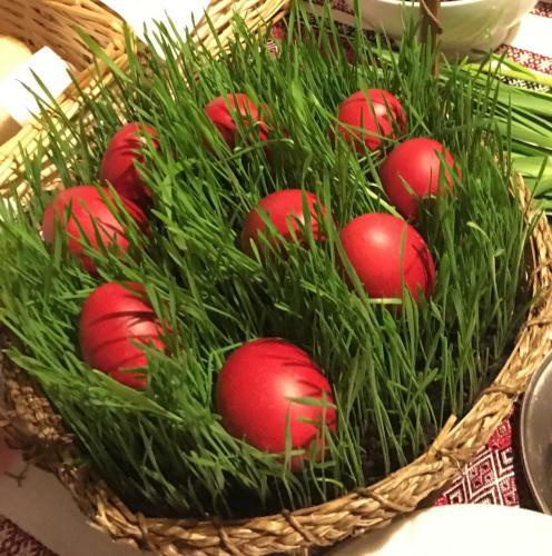 Hostal Pension Valentina