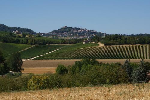 Agroturismo Agriturismo Al Colle