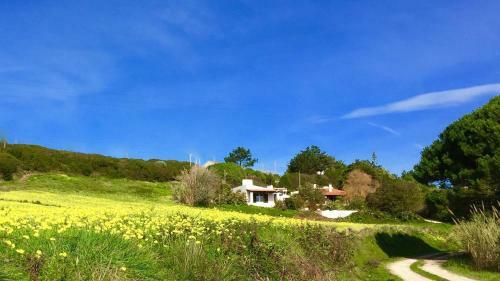 Agroturismo Casa Dos Mangues