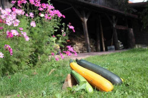 Agroturismo Orlik Mazury