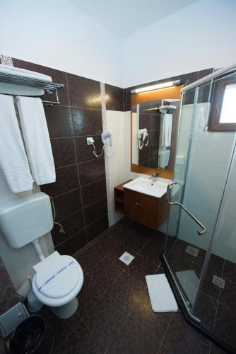 Hostal Pensiunea Steaua Apelor