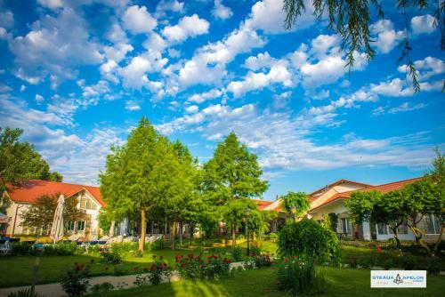 Hostal Pensiunea Steaua Apelor