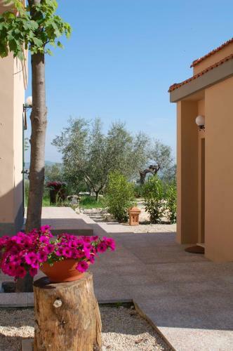 Hostal Don Federico Country Inn