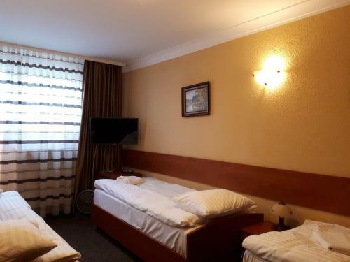 Motel Arkadia