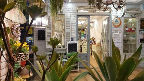 Taipei Backpackers Hostel - C