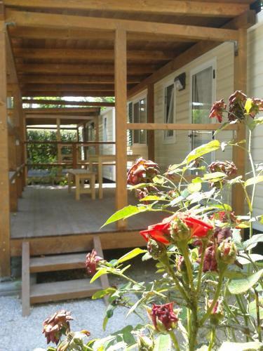 Hostal Campeggio Europa