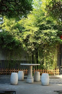 Hotel Lu Song Yuan
