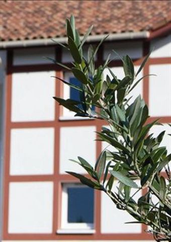 Inter-hotel Les Bruy�res