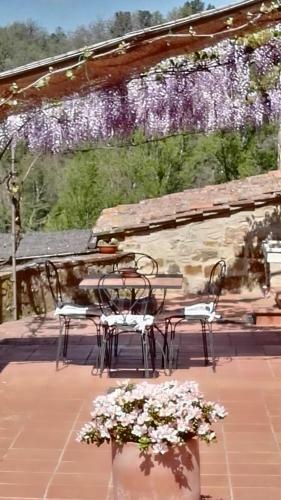 Agroturismo Agriturismo Molinuzzo