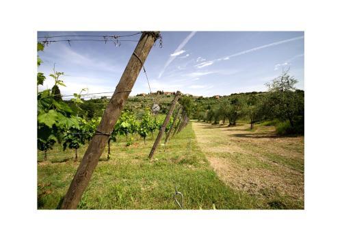 Agroturismo Agriturismo Molinuzzo