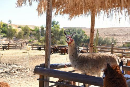 Agroturismo Alpaca Farm