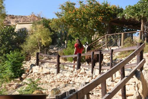 Agroturismo Alpaca Farm