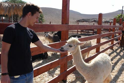 Agroturismo Alpaca Farm