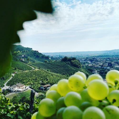 Bed & Breakfast Agriturismo Al Credazzo