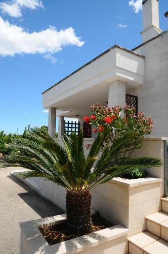 Bed & Breakfast Quercia Verde