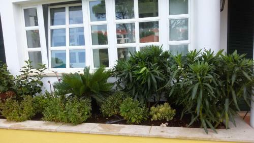 Apartment Golf De Vila Sol