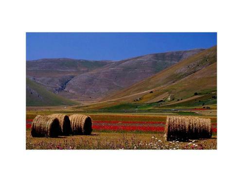 Agroturismo Le Acacie Felici