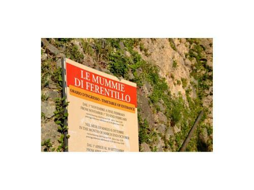 Agroturismo Le Acacie Felici