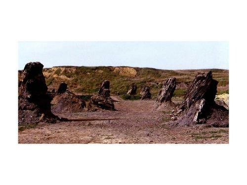 Agroturismo Le Acacie Felici