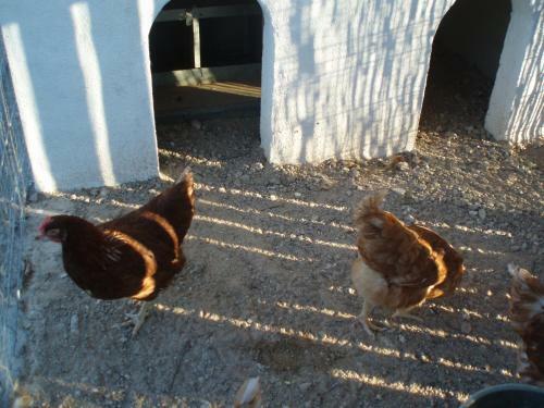 Agroturismo Casas Rurales Venta Seca