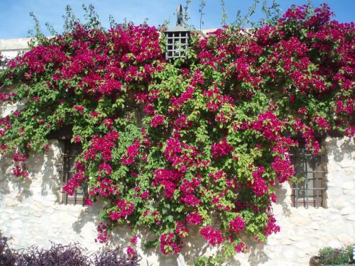 Agroturismo Casas Rurales Venta Seca