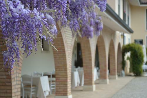 Hostal Agriturismo La Dolza
