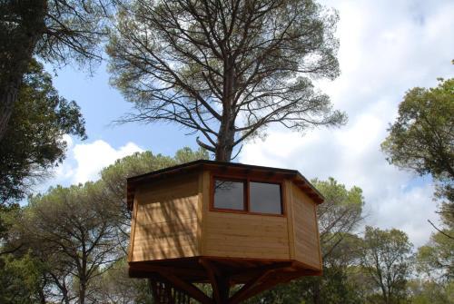 Cabanes Dosrius