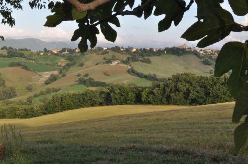 Agroturismo Il Granaio Di Colle Vichinano
