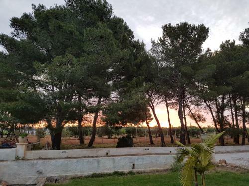 Apartamento Baglio Natura