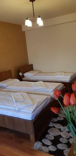 Bed & Breakfast Pensiunea Normandia
