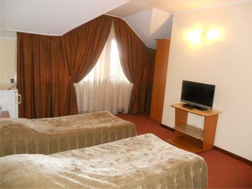 Hostal Pensiunea Turistica Europa