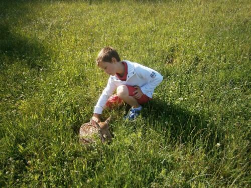 Le Chalet Pr� De La Fontaine