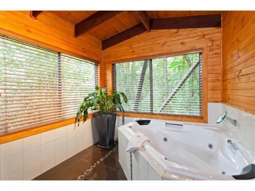 Lodge The Mouses House Rainforest Retreat