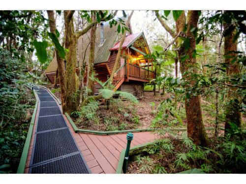 Lodge The Mouses House Rainforest Retreat