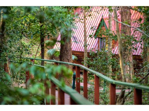 Lodge The Mouses House Rainforest Retreat