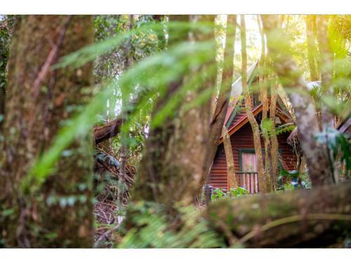 Lodge The Mouses House Rainforest Retreat