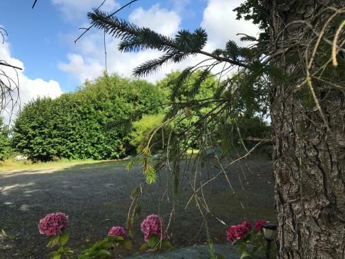 Manoir De Parc Ar Brun