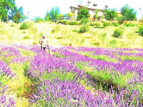 Agroturismo Agriturismo La Valle Dimenticata