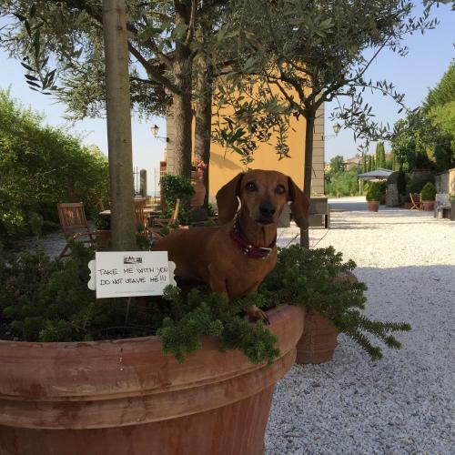 Apartamento Relais Villa Belvedere
