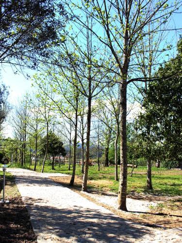 Hostal Laranjalim�o