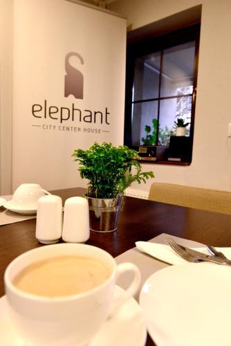 Apartamento City Center House Elephant