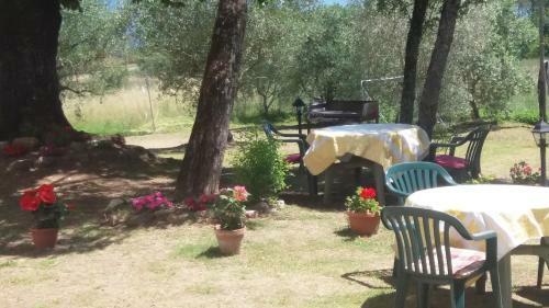 Bed & Breakfast Azzurre Beb