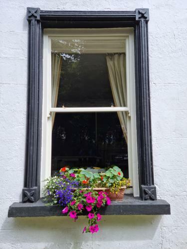 The Valley House Hostel & Bar