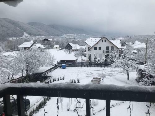Hostal Pensiunea Cerbul Carpatin